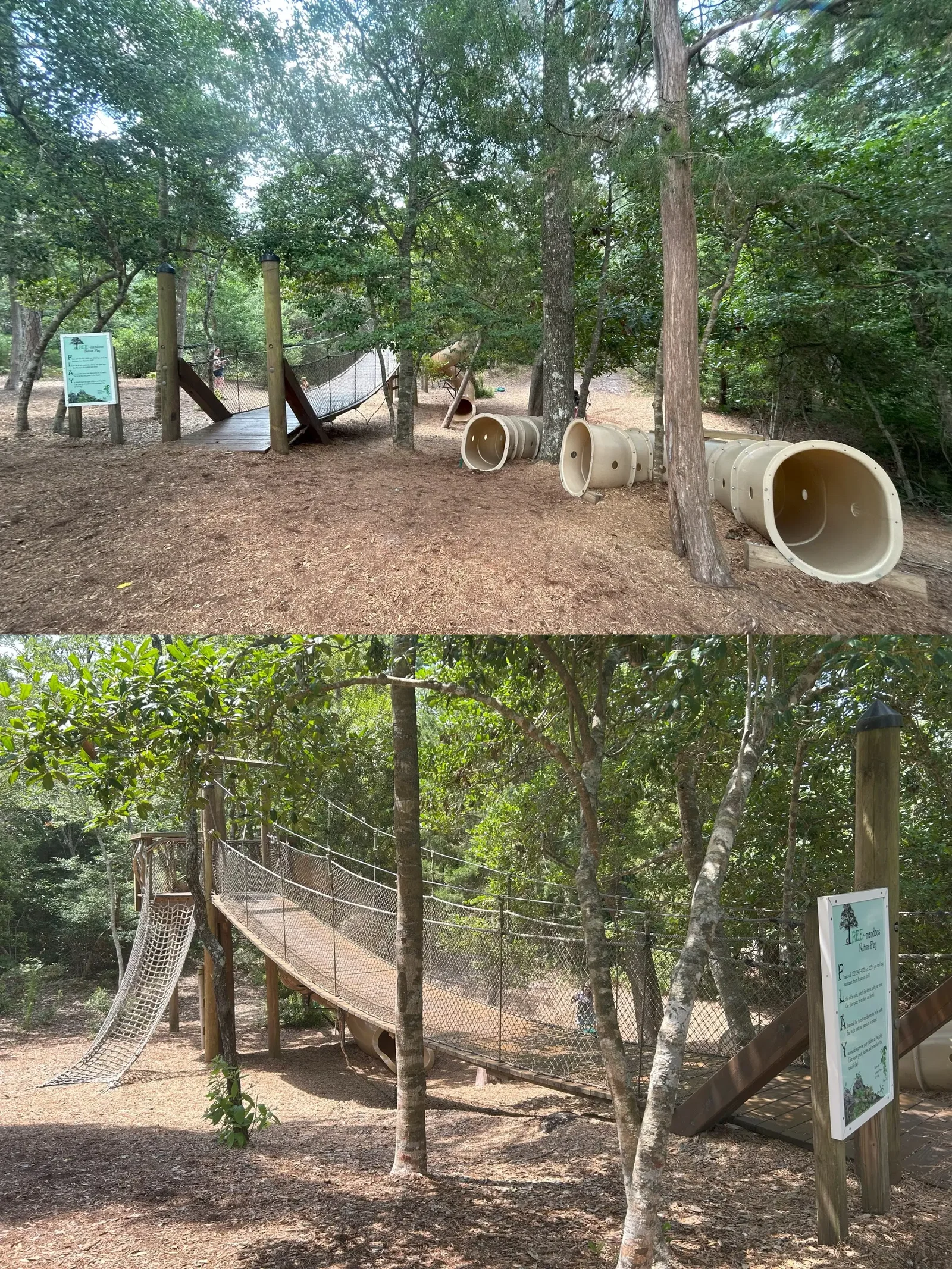 North Carolina Aquarium At Pine Knoll Shores • Aspi* Korner