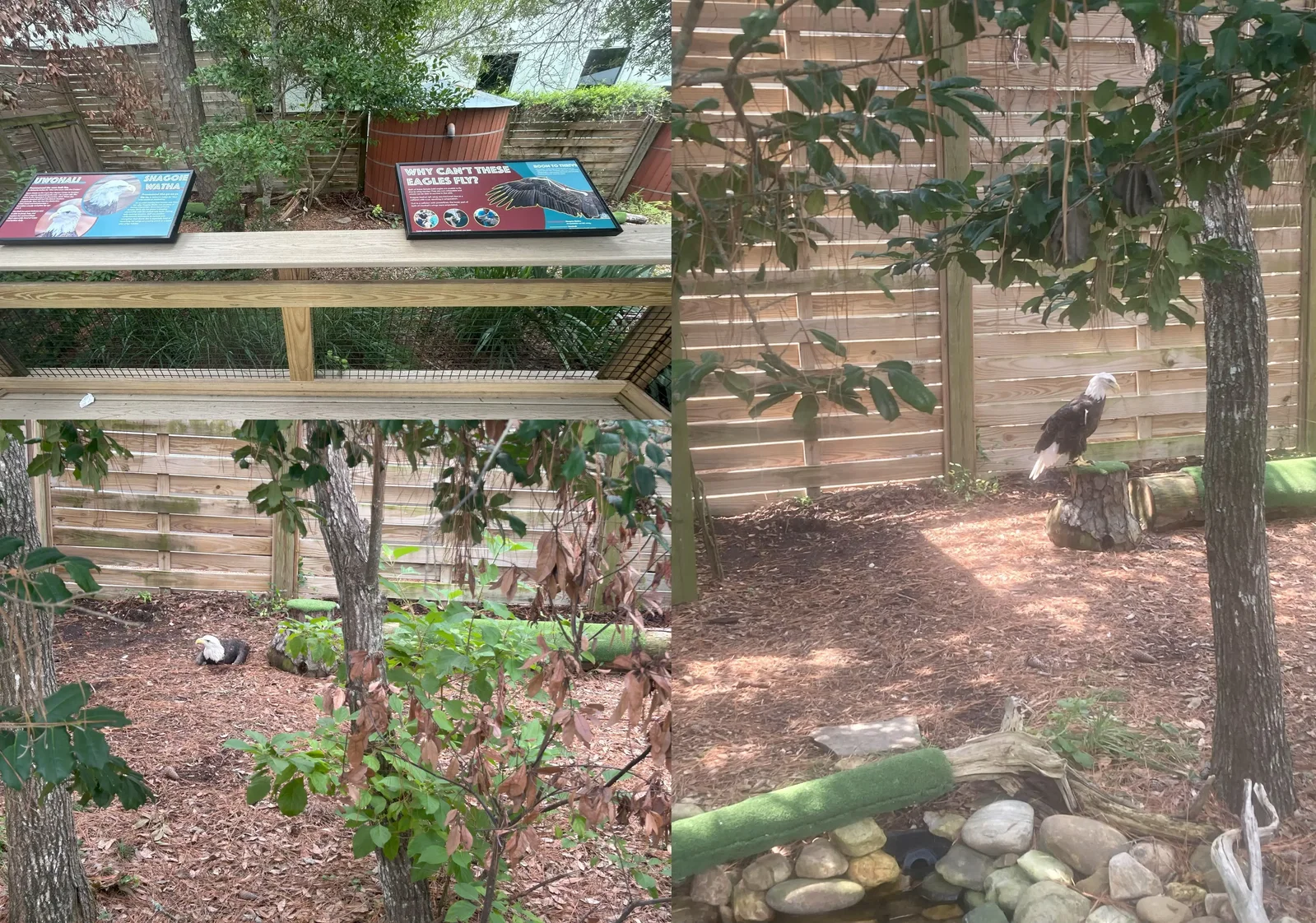 North Carolina Aquarium At Pine Knoll Shores • Aspi* Korner