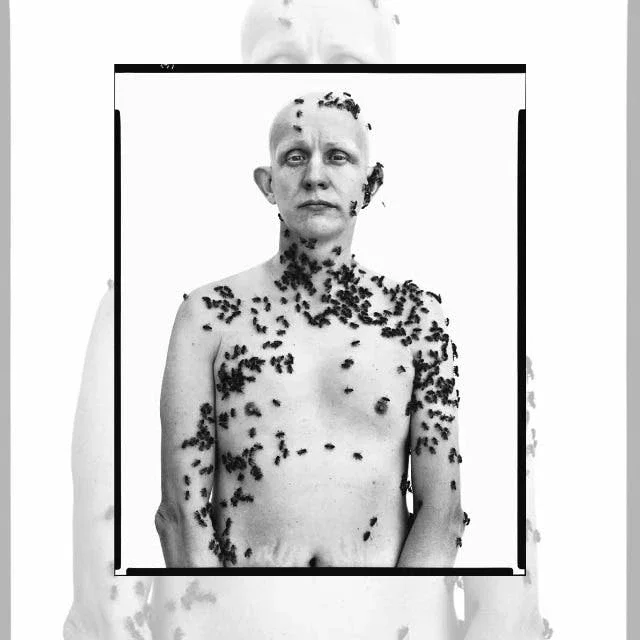 Richard Avedon: En el Oeste Americano