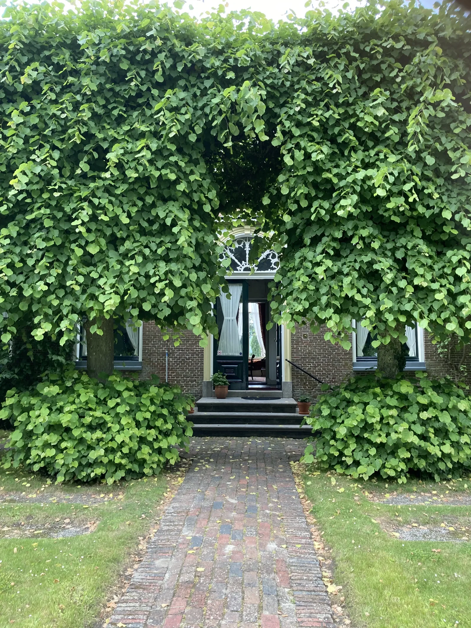 Landgoed Borg Verhildersum • hya