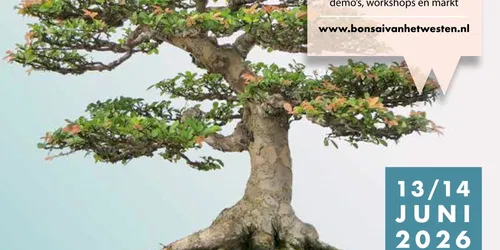 Bonsai van het Westen 2026