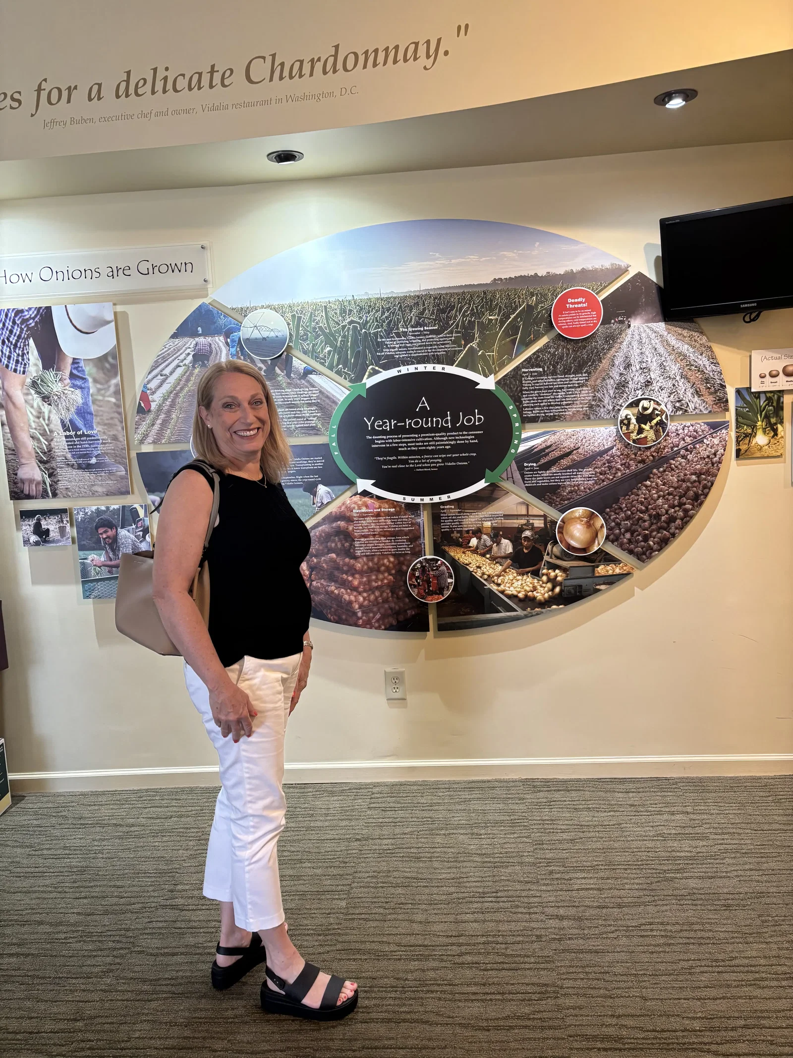 The Vidalia Onion Museum • Douglas