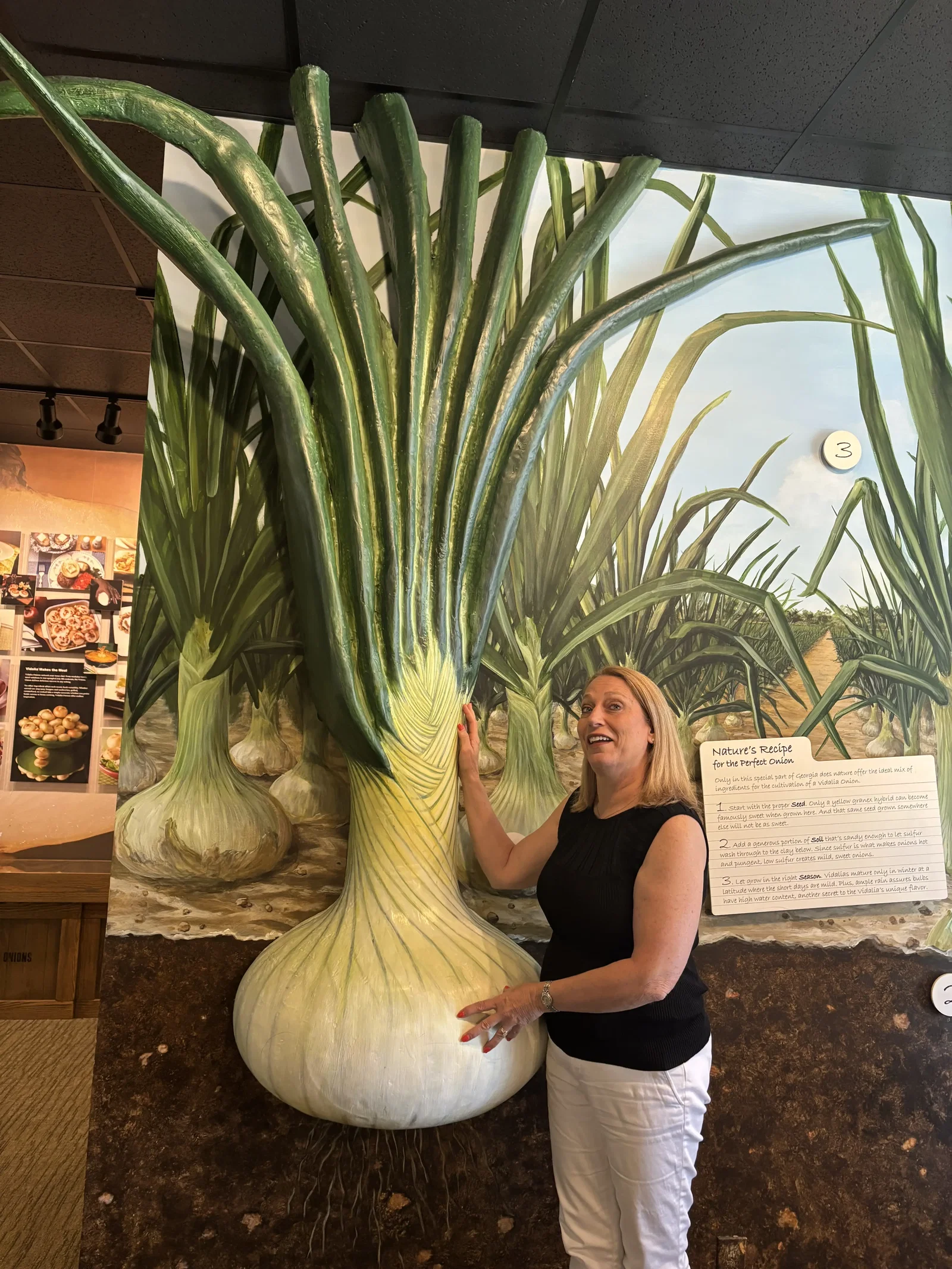 The Vidalia Onion Museum • Douglas
