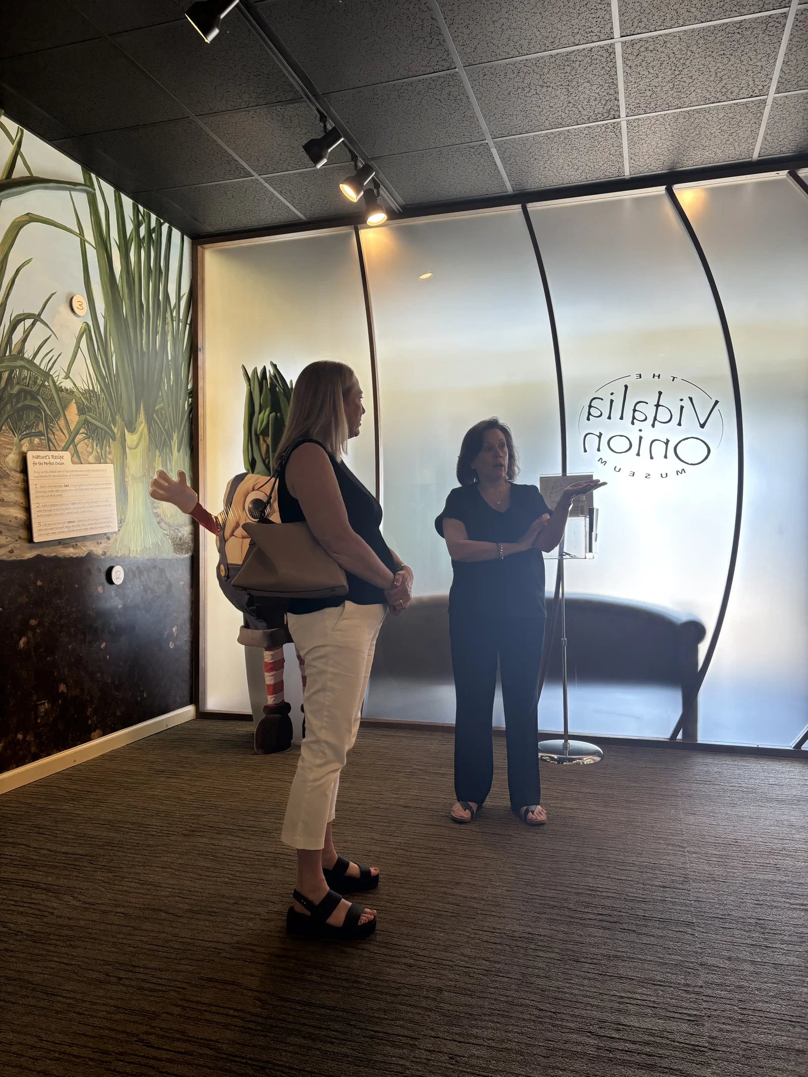 The Vidalia Onion Museum • Douglas