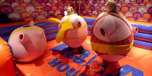 Sumo arena