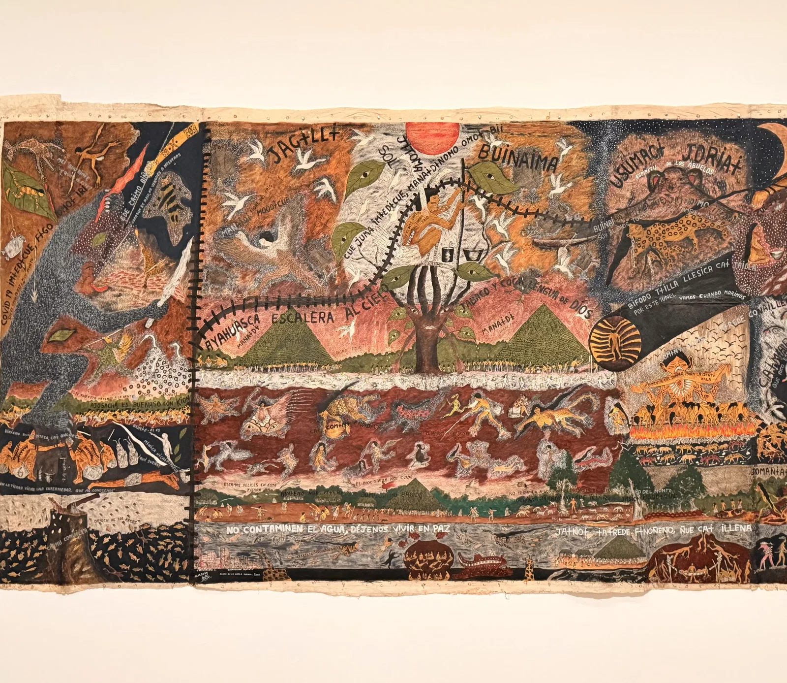 Museo Hammer • Susan