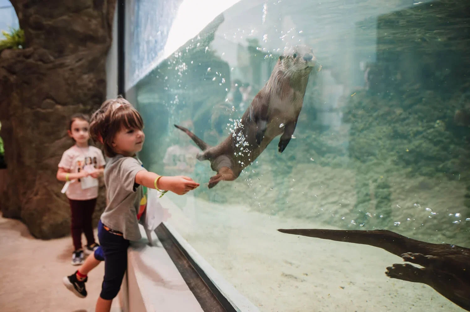 Lehigh River Watershed Gallery