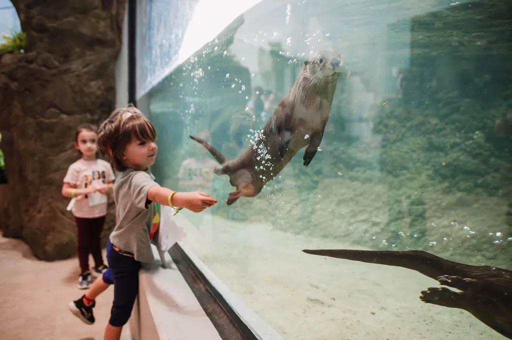 Lehigh River Watershed Gallery