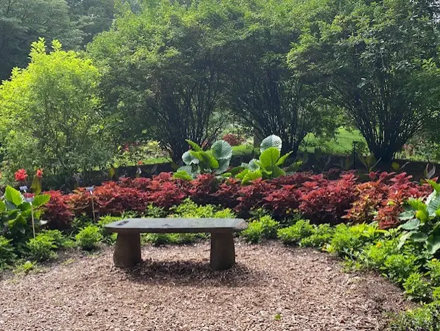 Dow Gardens • Elizabeth