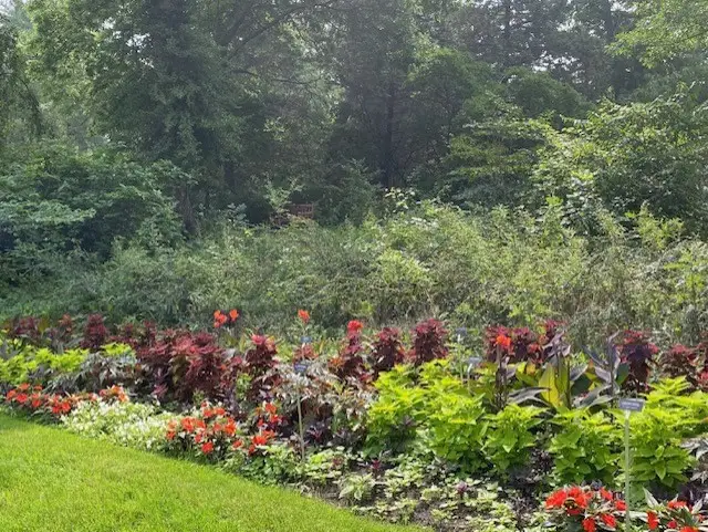 Dow Gardens • Elizabeth