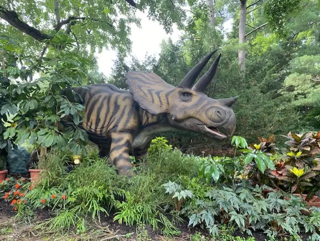 Dow Gardens • Elizabeth