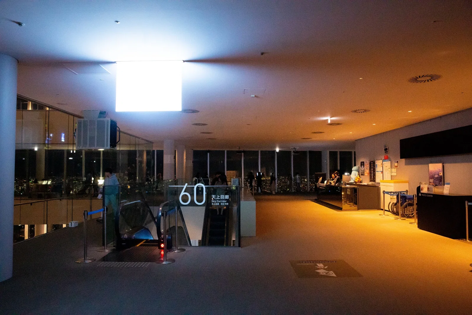 Harukas 300 (Observatory)
