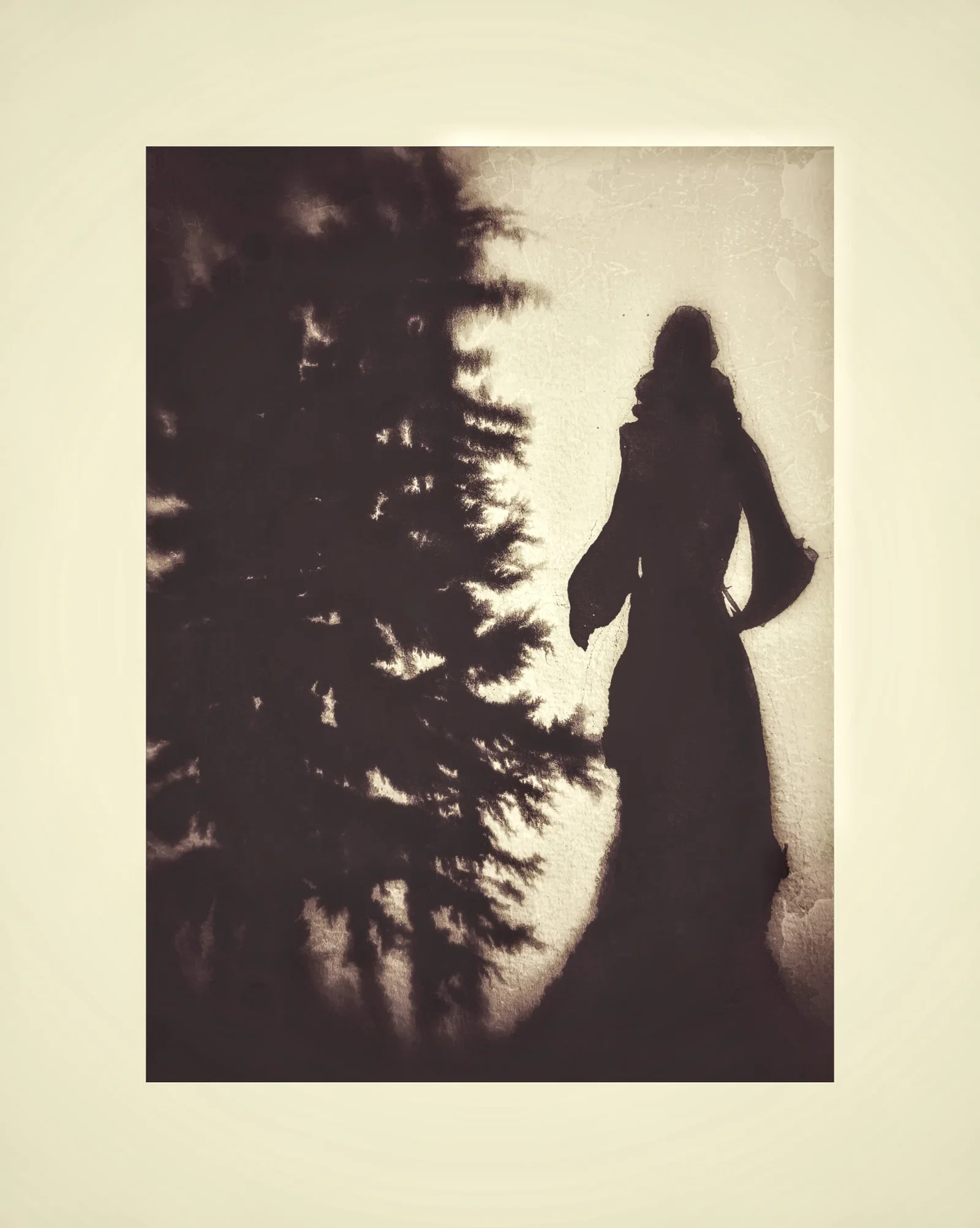 Walking With The Crow - an exhibition by Shona M Macdonald