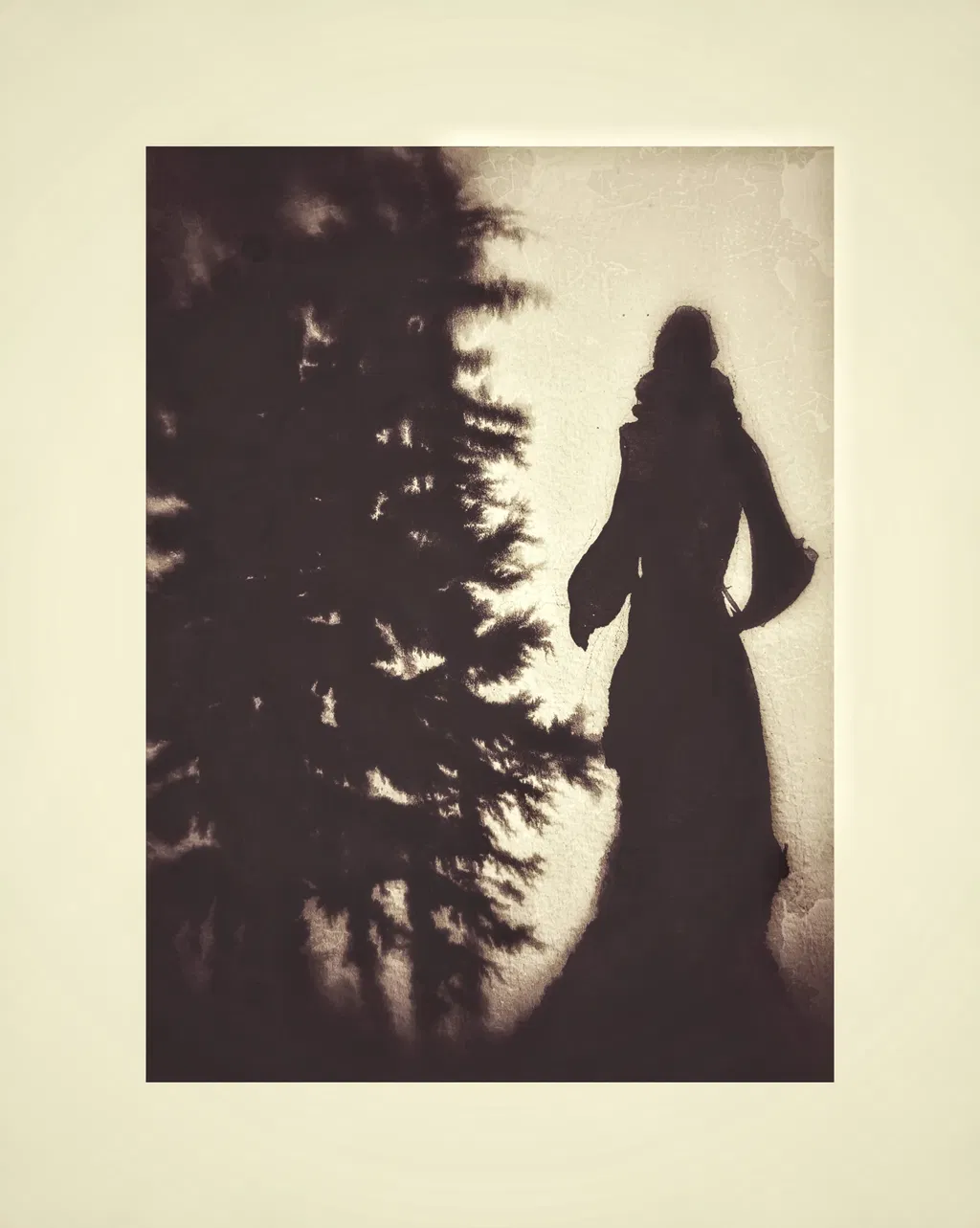 Walking With The Crow - an exhibition by Shona M Macdonald