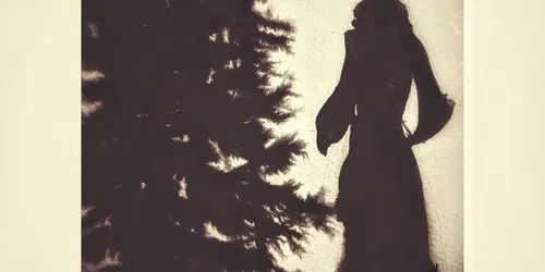Walking With The Crow - an exhibition by Shona M Macdonald