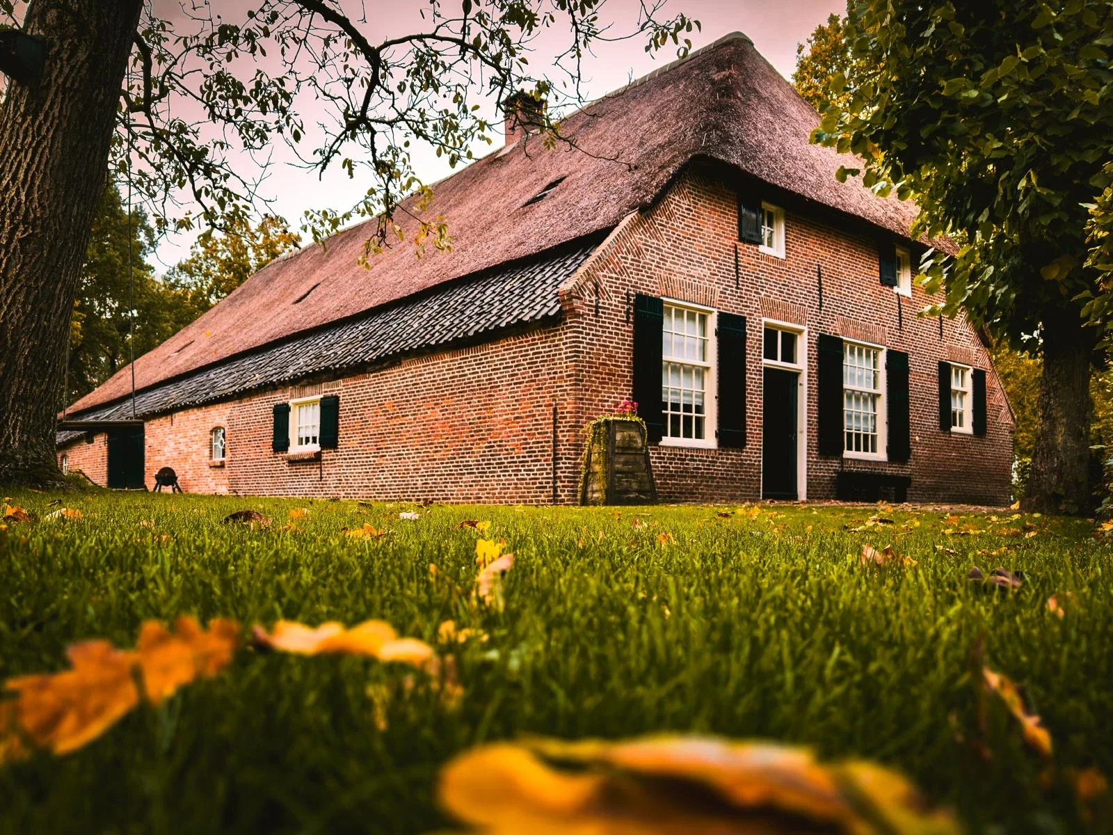 Meierijsche Museumboerderij (farm museum)