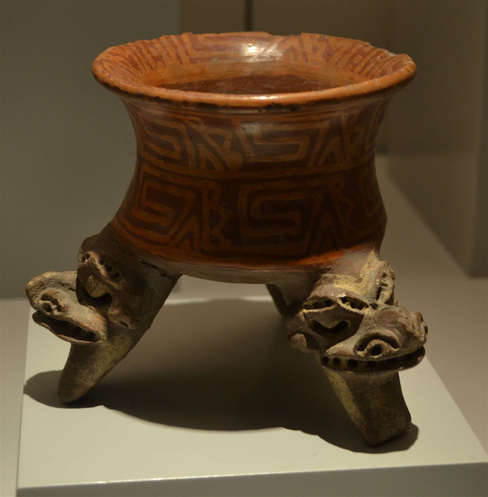 Museum of the Americas