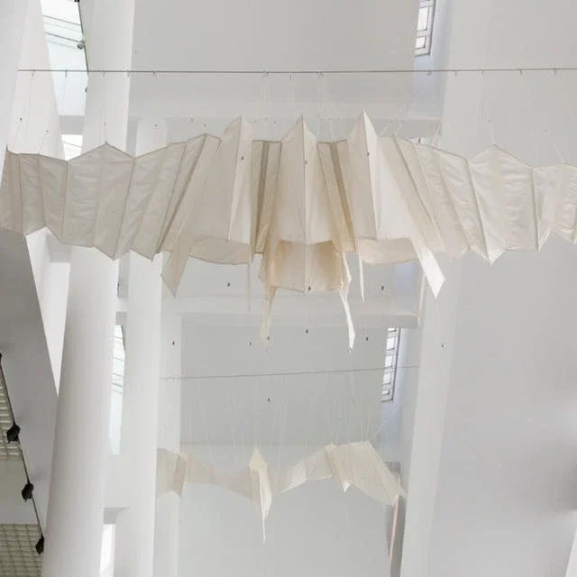 Aurelia Munoz’s Kite-Birds