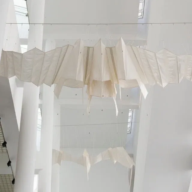 Aurelia Munoz’s Kite-Birds