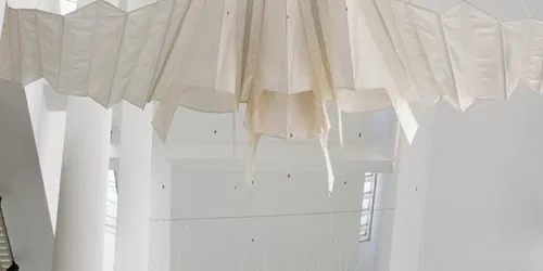 Aurelia Munoz’s Kite-Birds