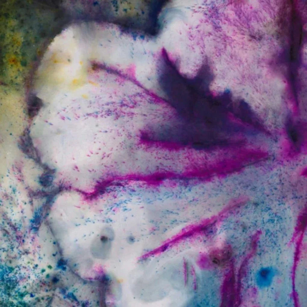 Radiance of Spring by Cai Guo Qiang
