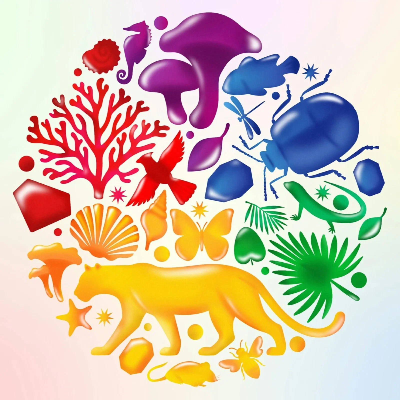 Wild Colour