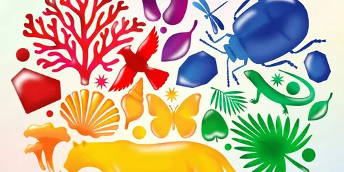 Wild Colour