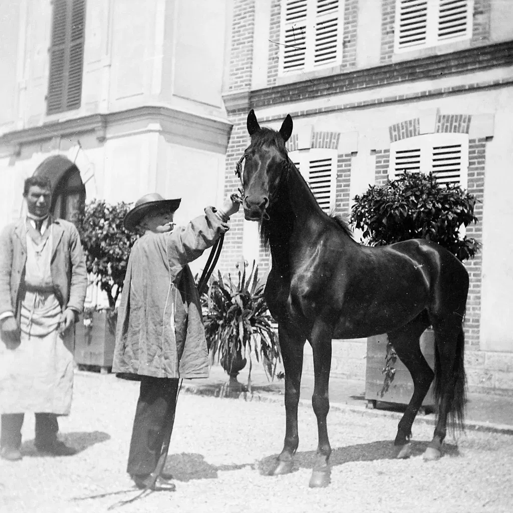 Rosa Bonheur and the Horse