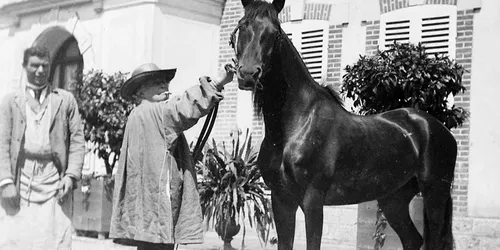 Rosa Bonheur et le cheval