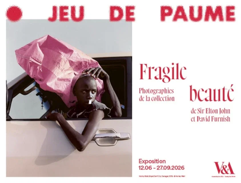 Fragile Beauty