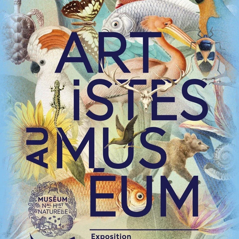 Artistas del museo