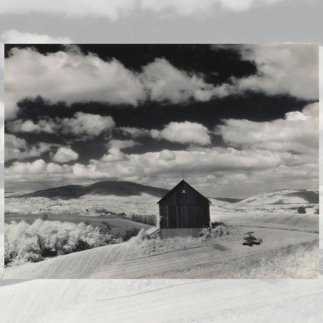 Minor White