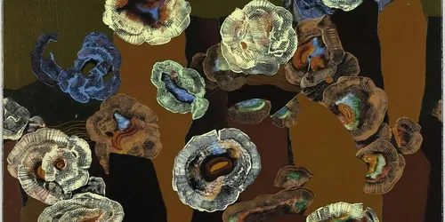 Exposición de Max Ernst 2026: De Natura