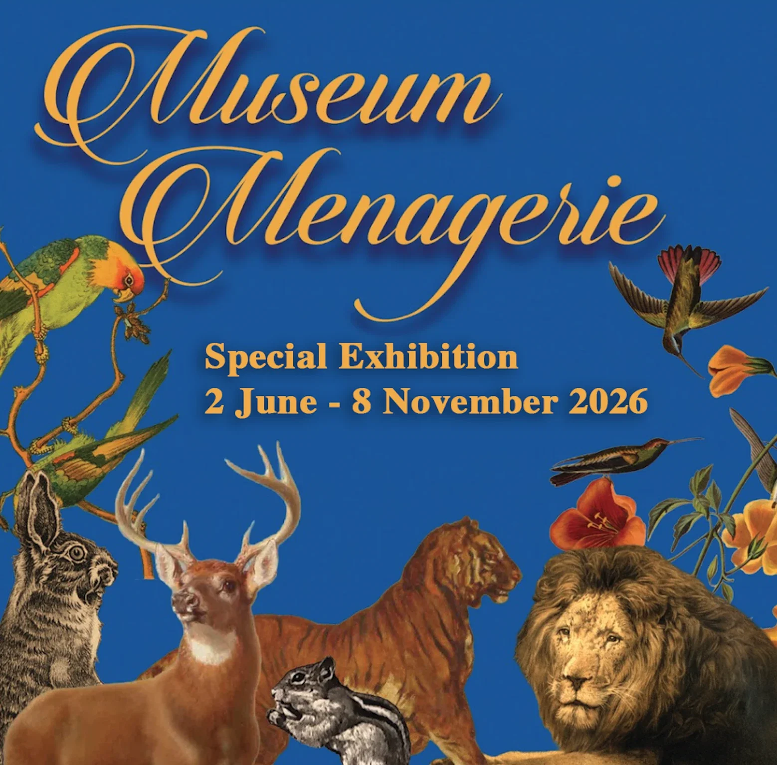 Museum Menagerie
