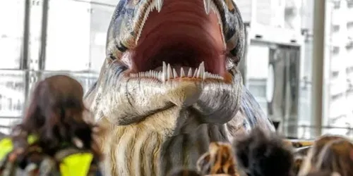 Zeemonsters