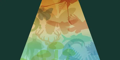 Parliament of Biodiversity