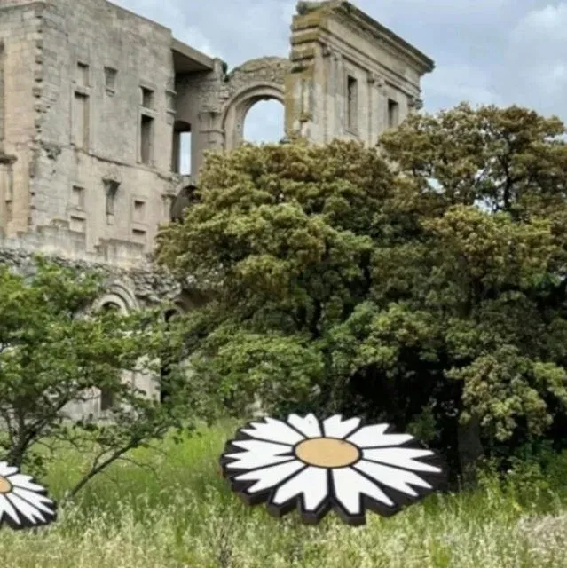 Floraison majeure