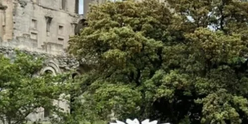 Floraison Majeure