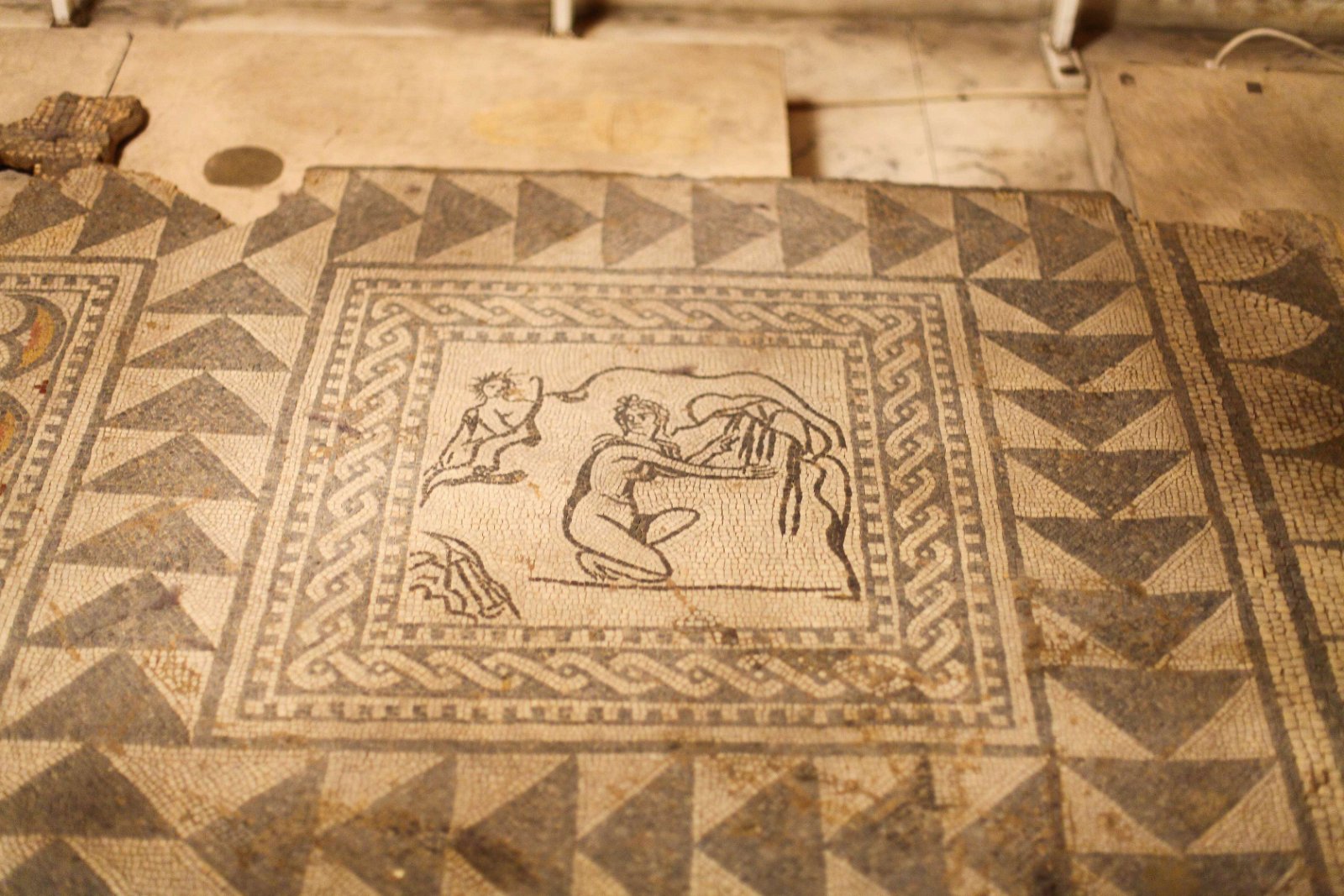 National History Museum