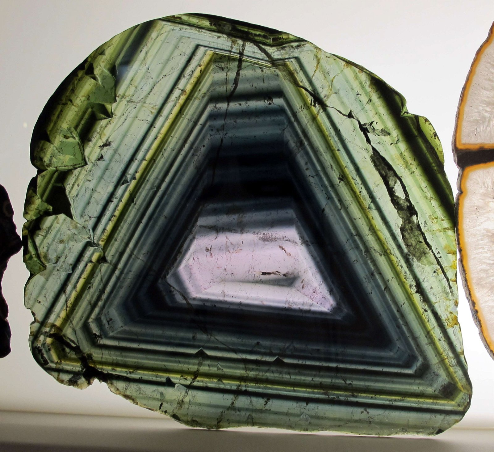 University of Florence Natural History Museum - Geology and Paleontology