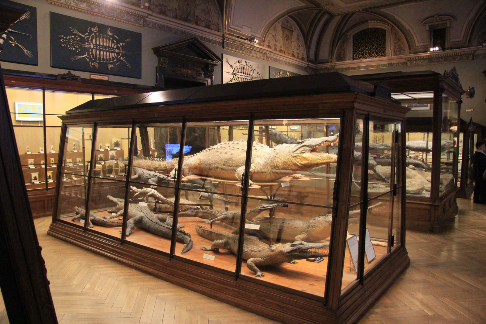 Naturhistorisches Museum