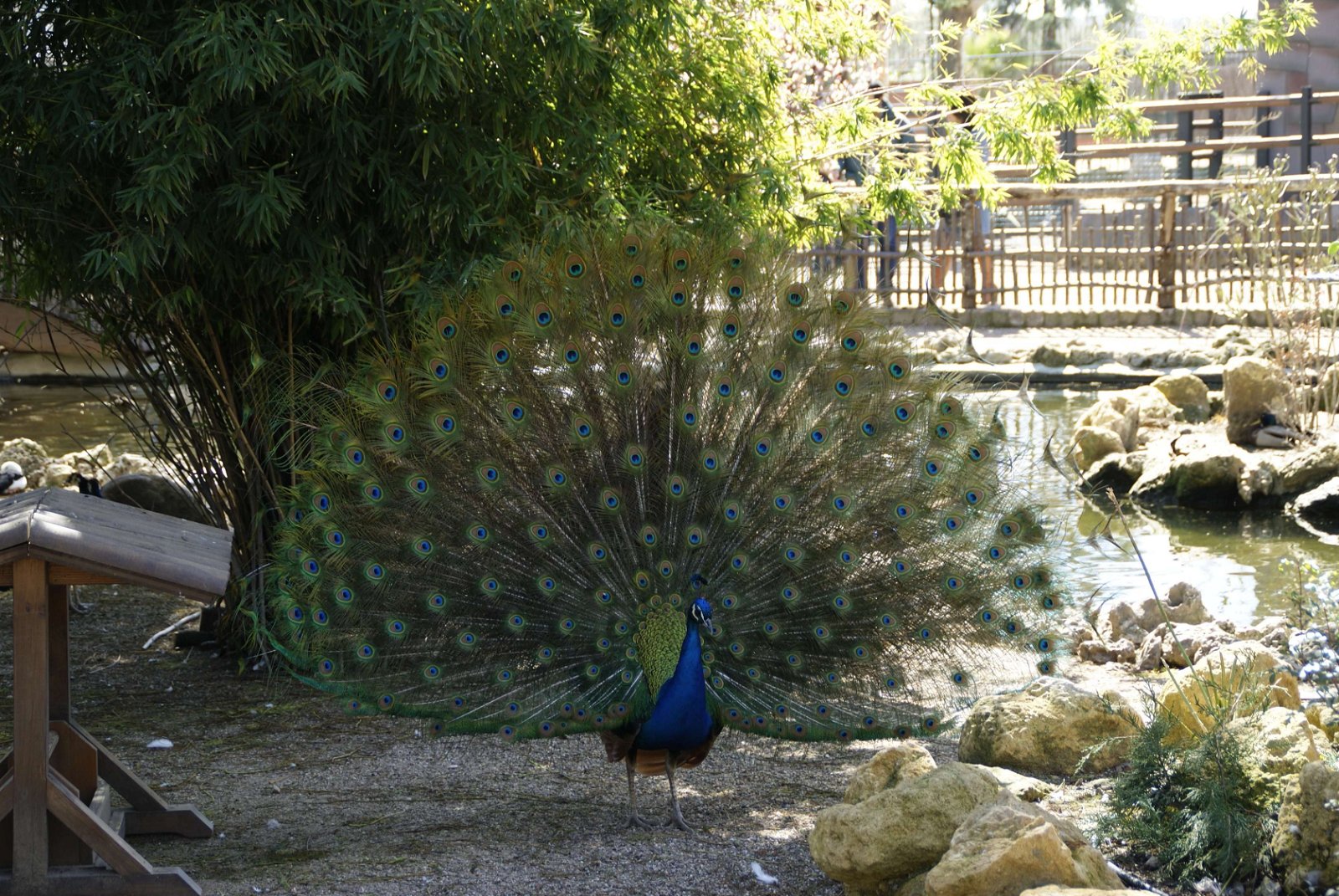 Zoo Cordoba