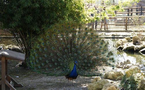 Zoo de Córdoba