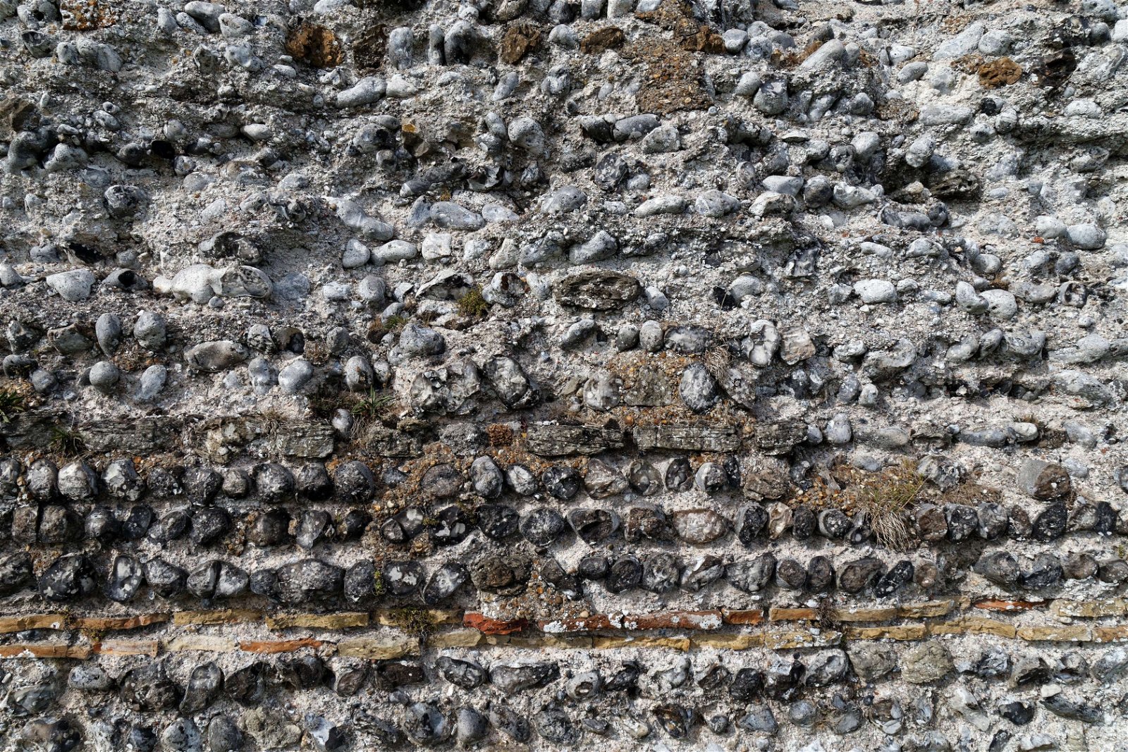 Richborough Roman Fort and Amphitheatre