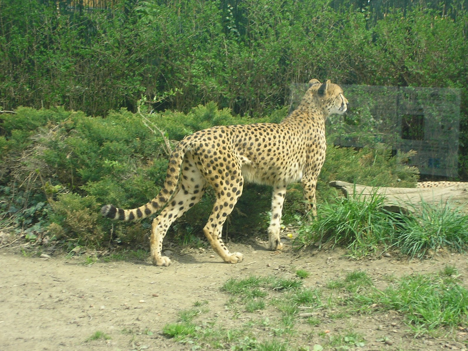 Zagreb Zoo