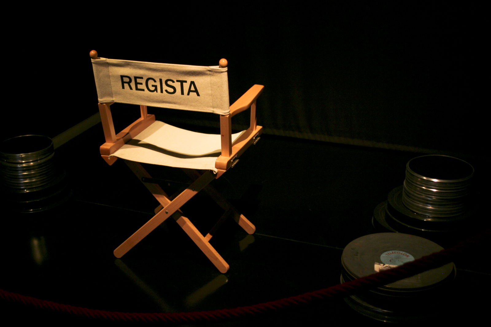 Museo Nazionale del Cinema