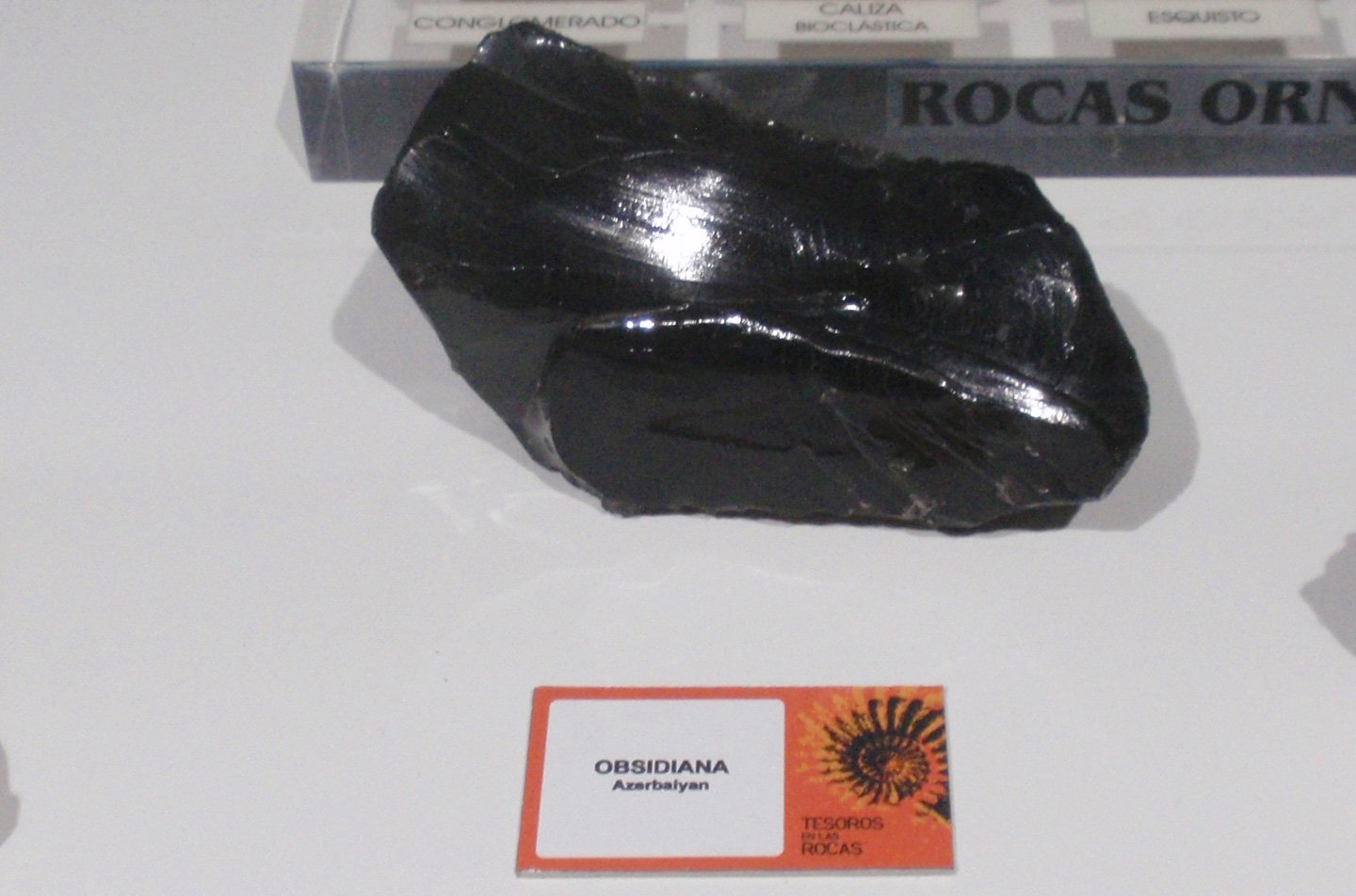 Museo Elder de la Ciencia y la Tecnología