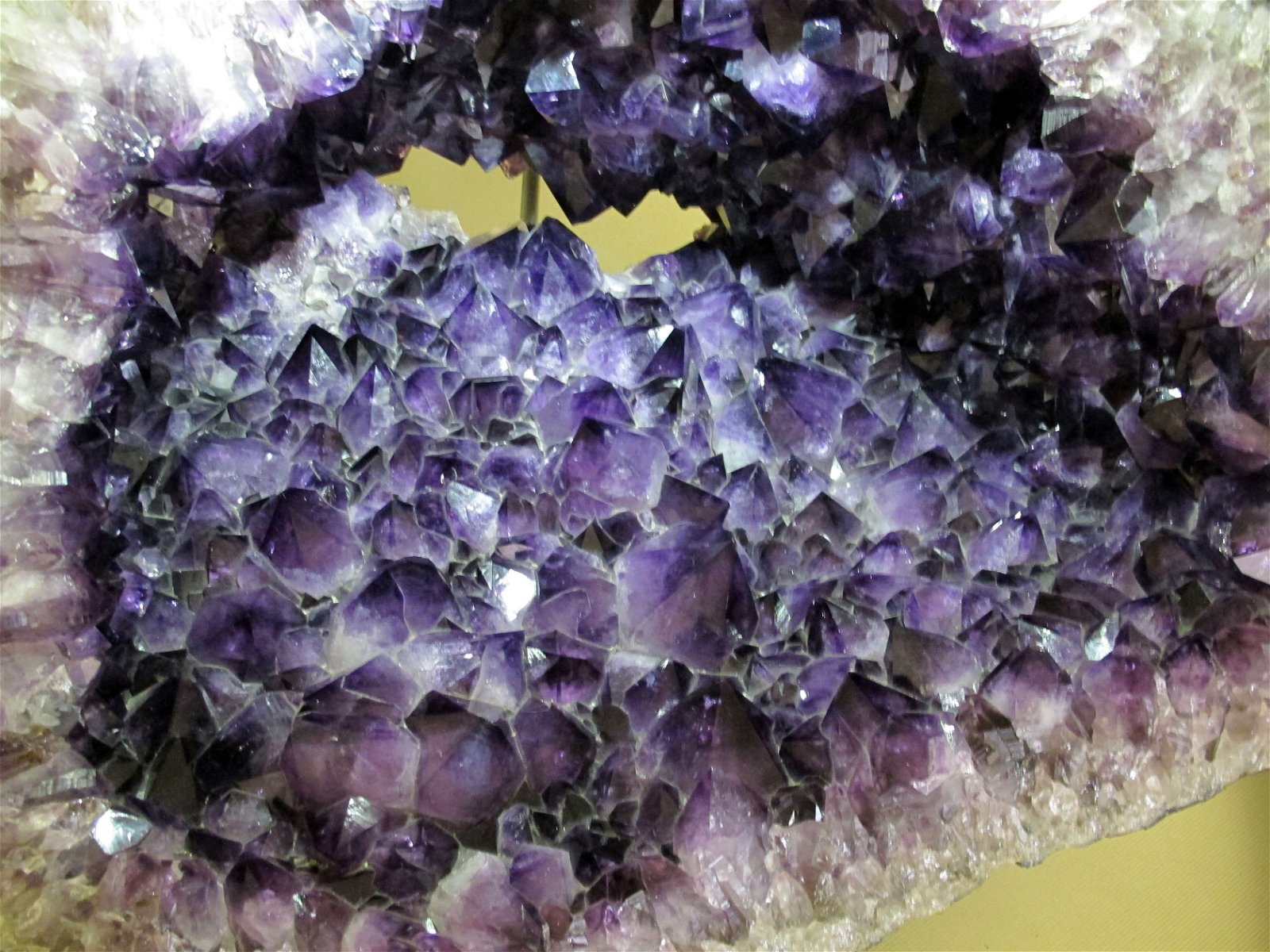 University of Florence Natural History Museum - Geology and Paleontology