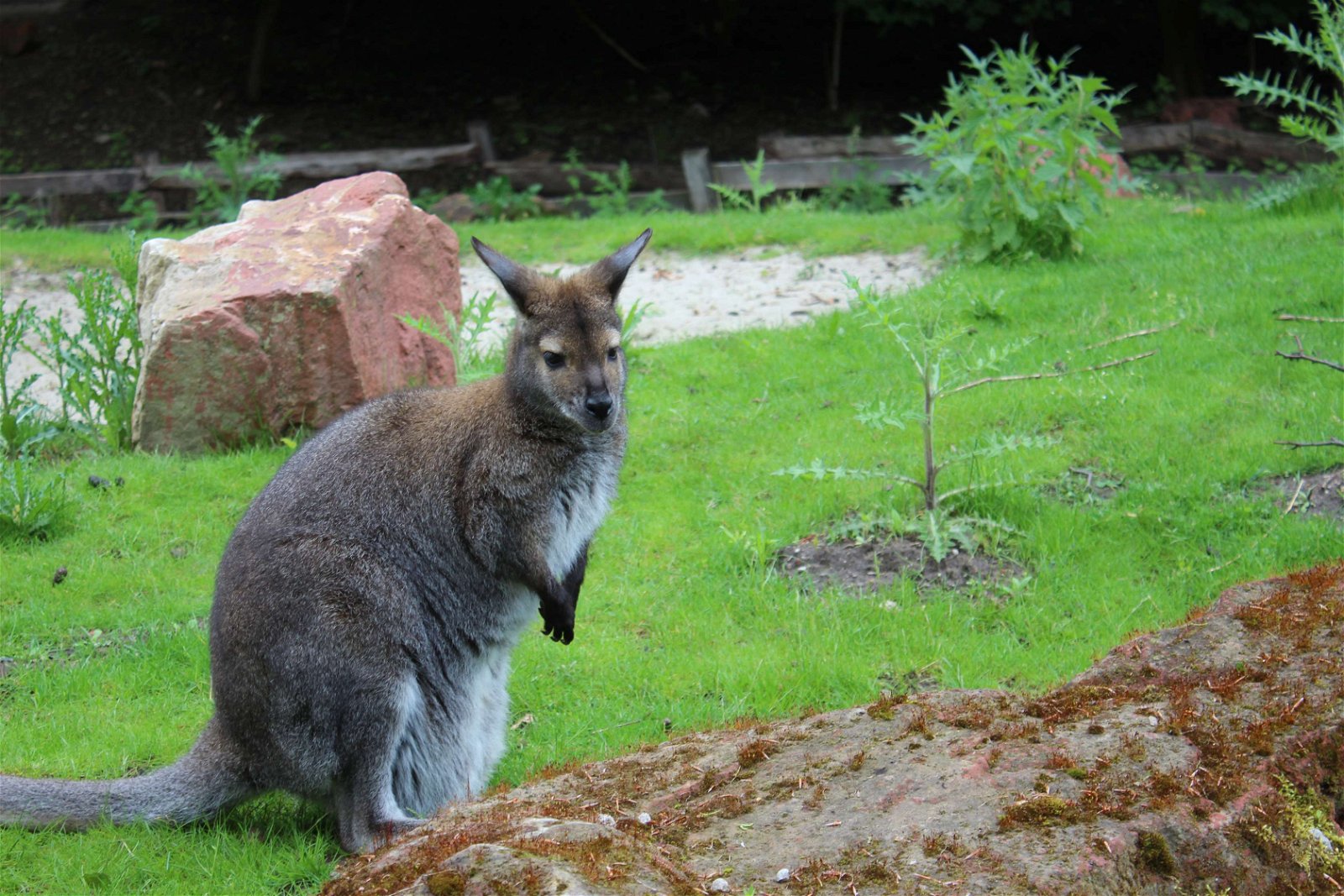 Erlebnis Zoo Hannover