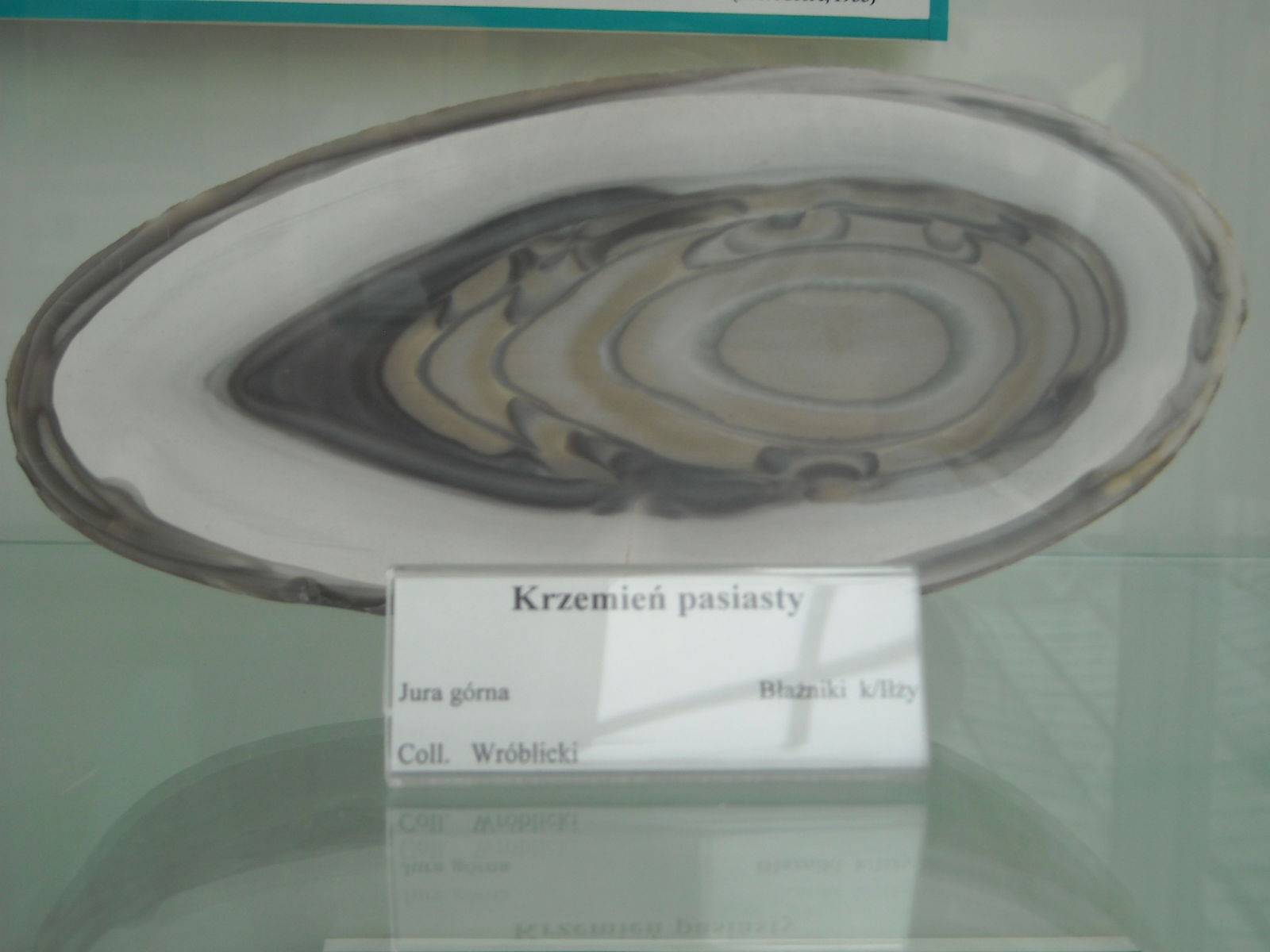 Geological Museum of the Polish Geological Institute